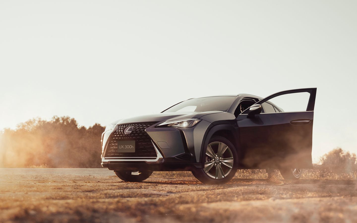 Buy The New 2024 Lexus UX300h in UAE Lexus