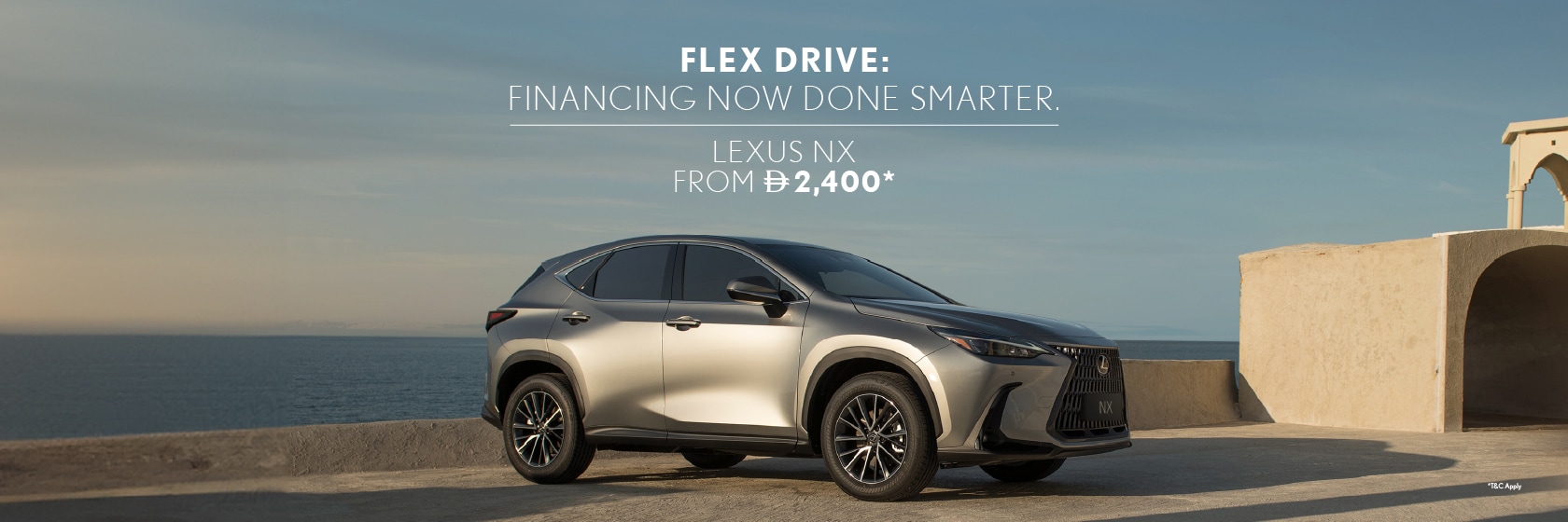 flex-drive-nx