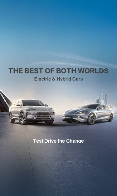 Exclusive BYD Offers!