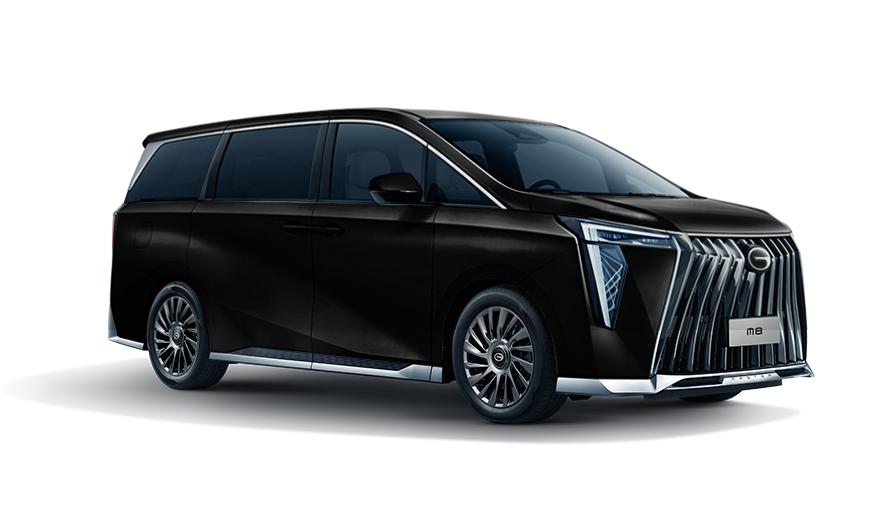 2.0Turbo M8-ZD 2025 GL