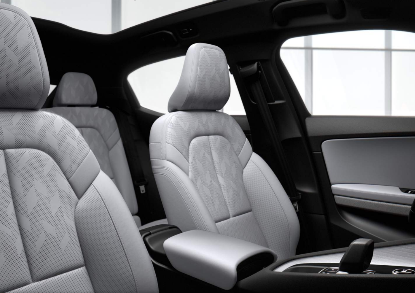 Polestar 2 leather deals interior