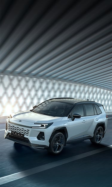 RAV4 PHEV