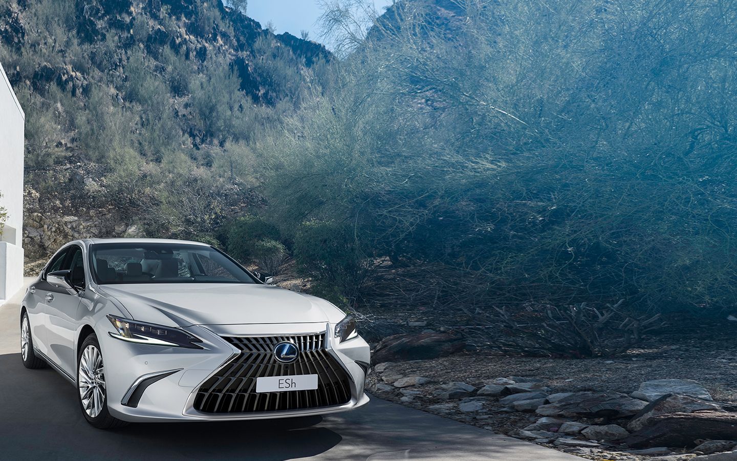 Efficient Luxury Performance