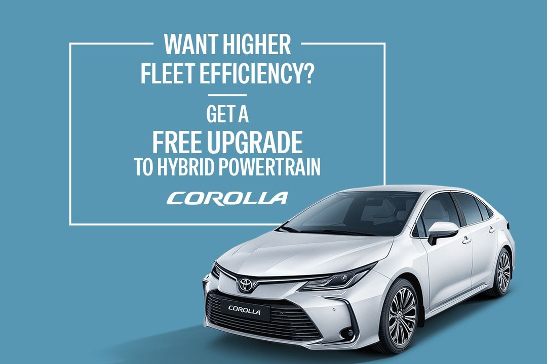 Give your business the edge it deserves.