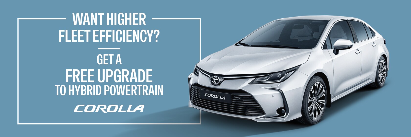 business-solutions-corolla