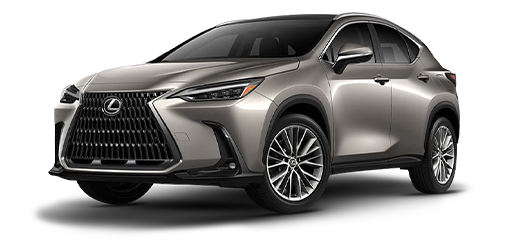NX 2024 grey exterior 