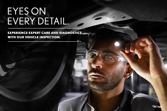 Eyes on Every Detail