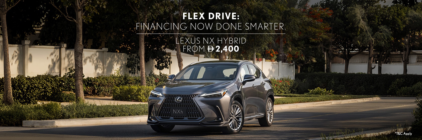 flex-drive-nx