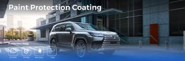 Paint Protection Coating