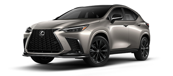 2.4L NX350 2025 F Sport