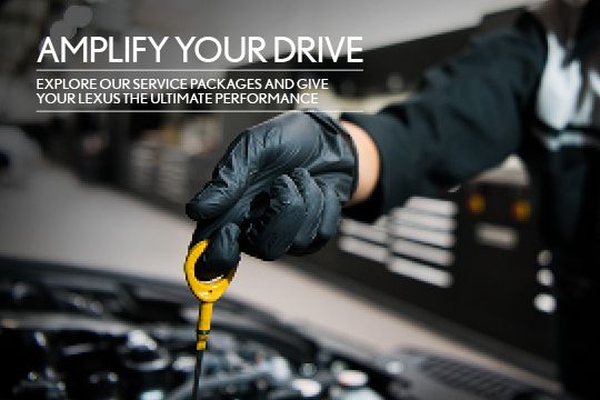 Amplify Your Drive