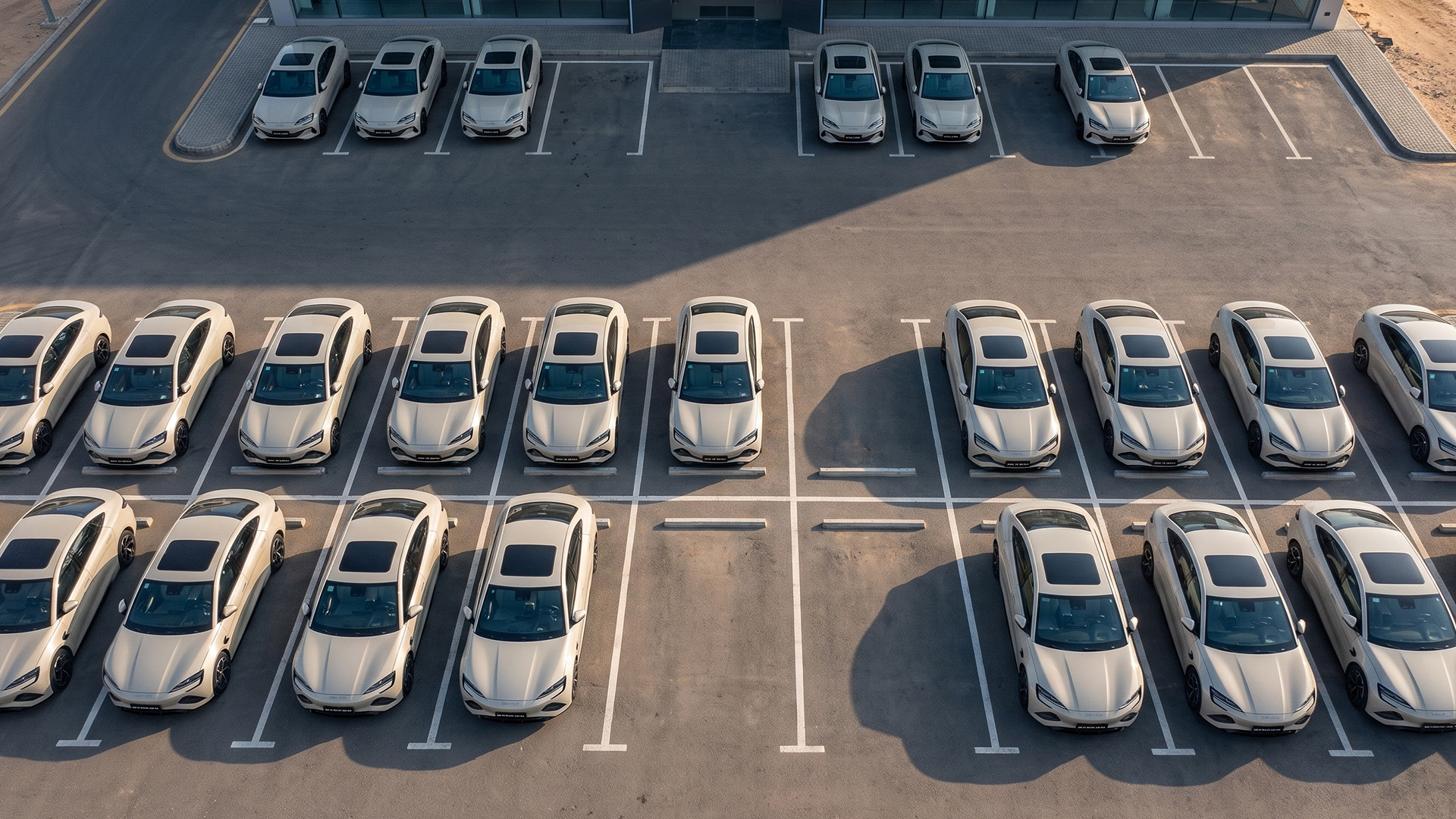 BYD fleet mobility solutions