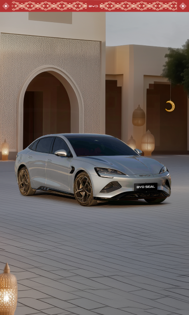 The Electric Sports Sedan