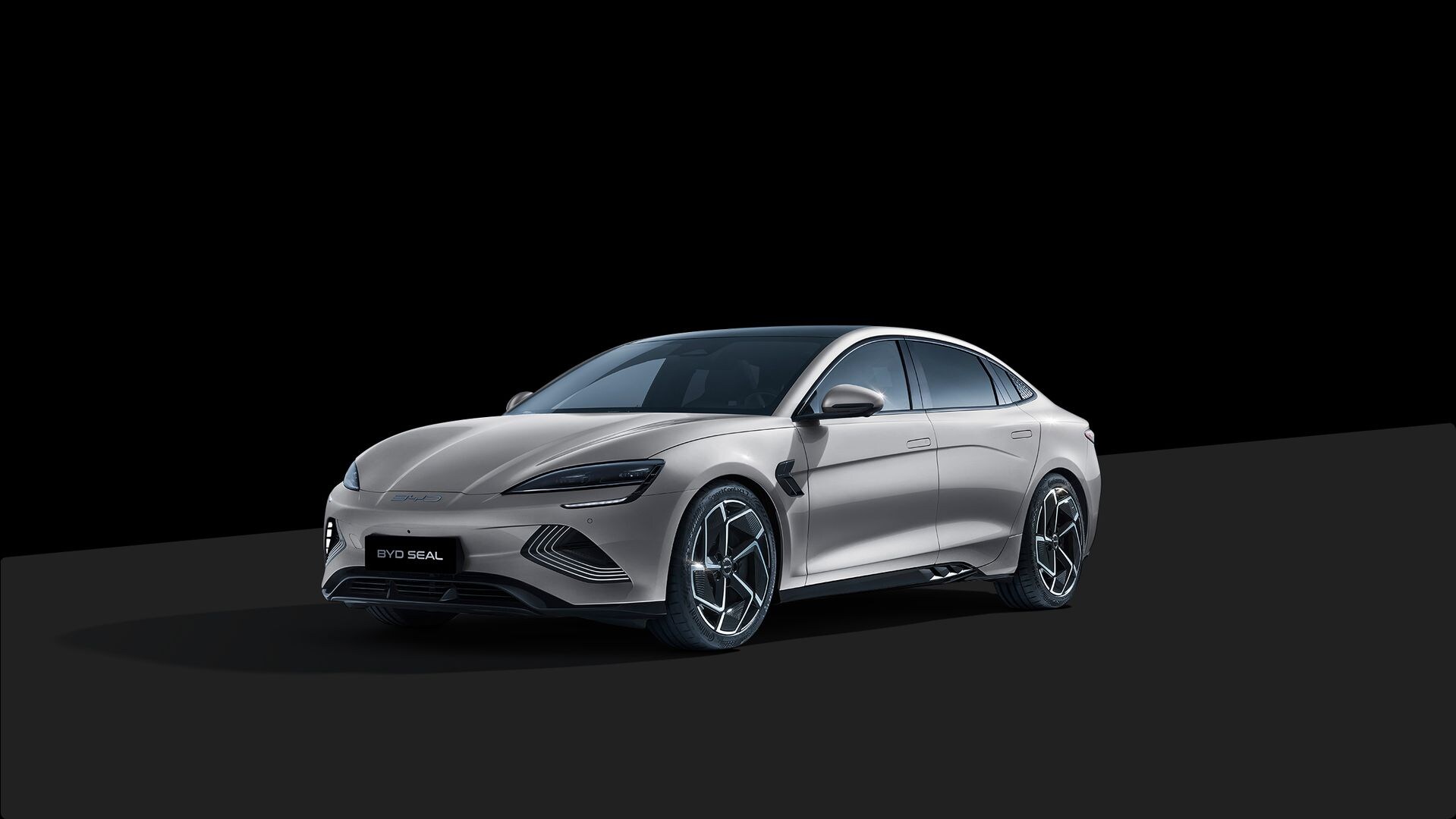 model-icon