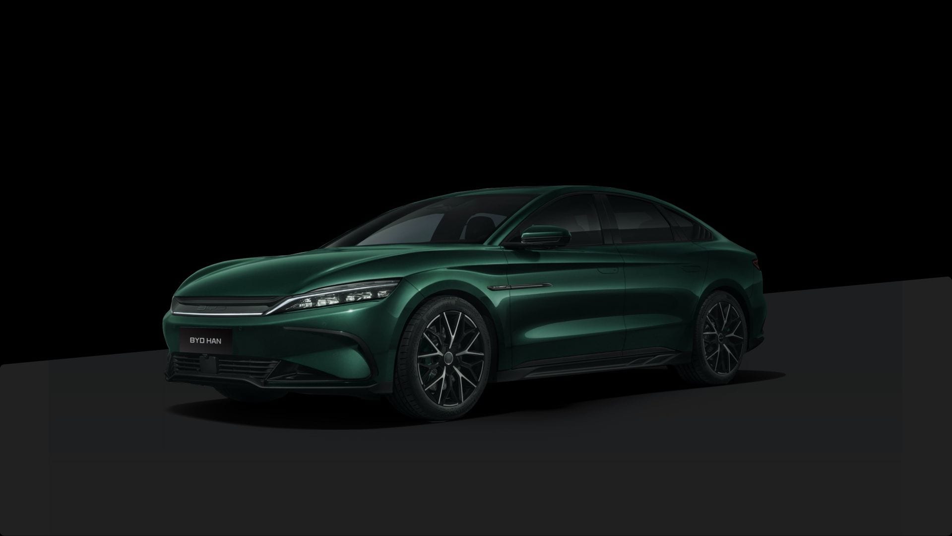 model-icon